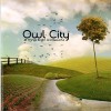 Owl City Alligator Sky 试听