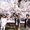Chicago Poodle 桜色 试听