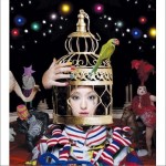 CIRCUS详情