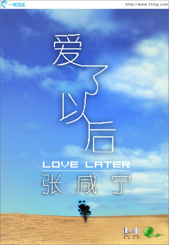 爱了以后(单曲)