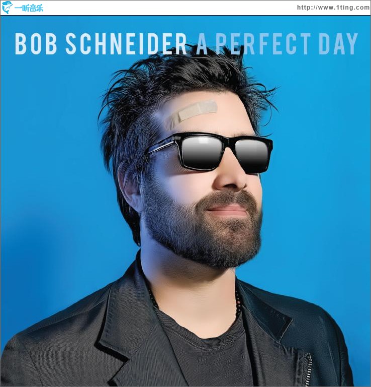 A Perfect Day
