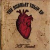 KT Tunstall The Punk 试听