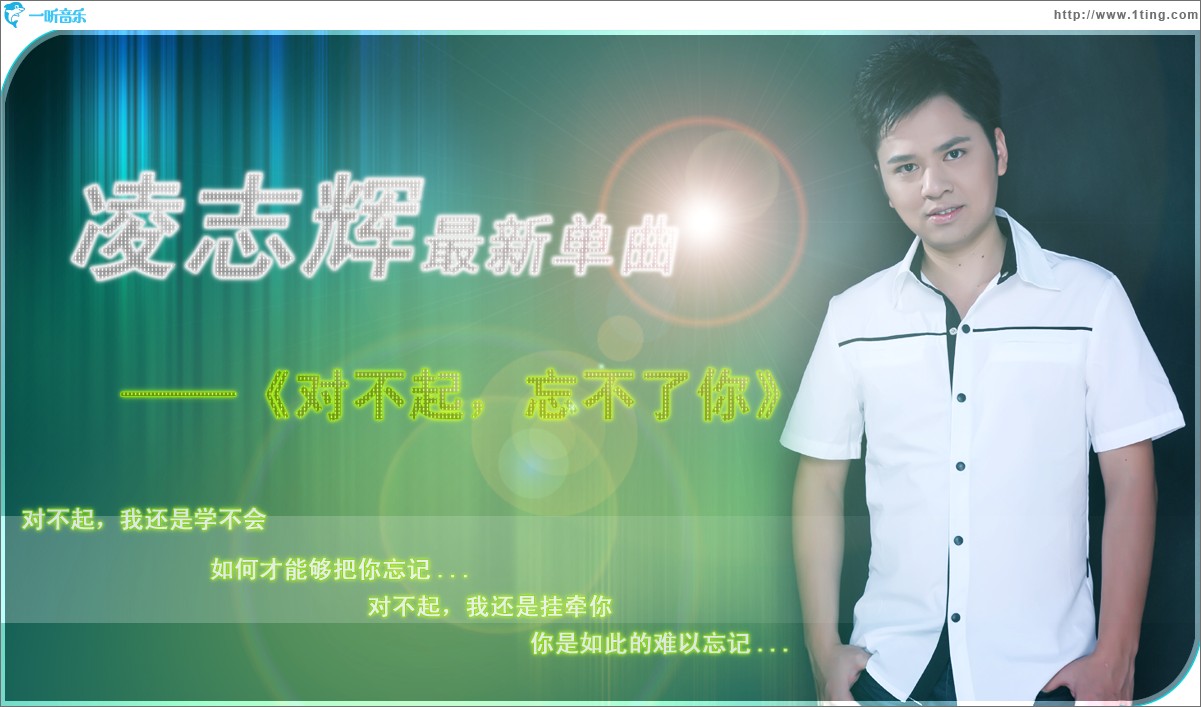 对不起忘不了你(单曲)