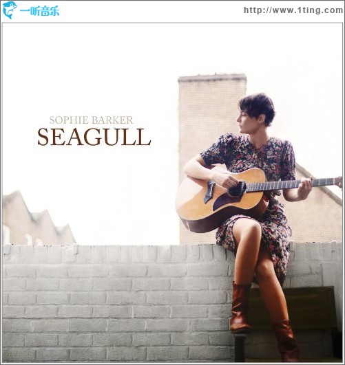 Seagull