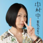 若気の至り ベスト選曲集详情