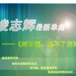 对不起忘不了你(单曲)详情