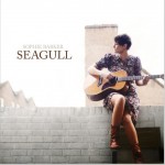 Seagull详情