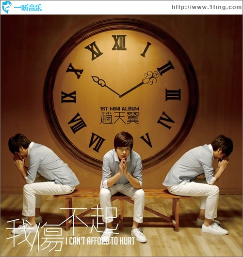 我伤不起(单曲)