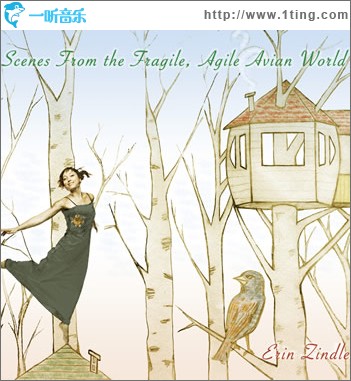Scenes from the Fragile, Agile Avian World