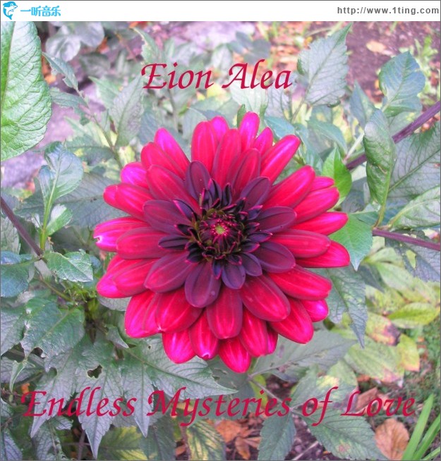 Endless Mysteries Of Love