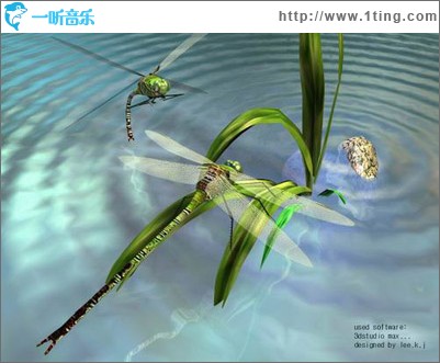 蜻蜓点水(单曲)