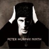 Peter Murphy Velocity Bird 试听