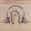 David Sylvian Small Metal Gods 试听