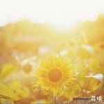花唄 (single)