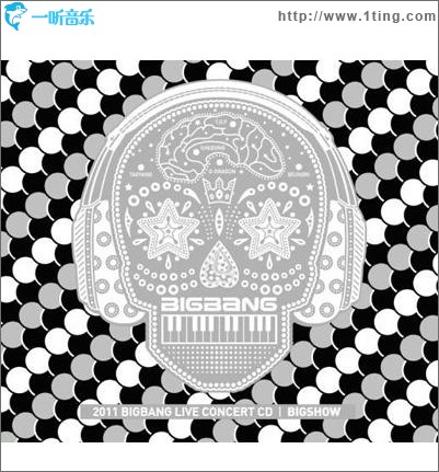 2011 BIGBANG CONCERT LIVE ALBUM: BIG SHOW