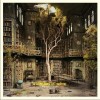 Fountains Of Wayne Cold Comfort Flowers 试听