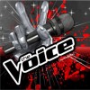 The Voice Crazy - Adam,Christina,Blake,Cee Lo 试听