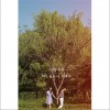 My-Q (NULL) 아침 8시 (With 한효주) 试听