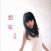 想家(单曲)