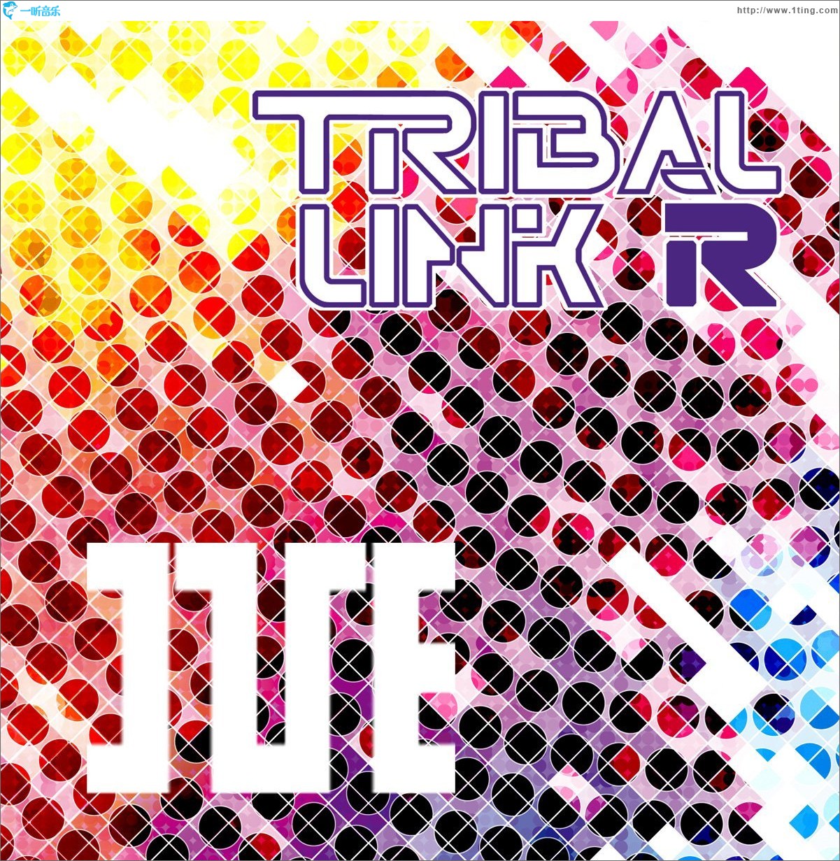 TRIBAL LINK-R
