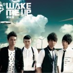 Wake Me Up详情
