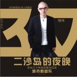 二沙岛的夜晚详情