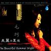美丽的夏夜