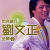 闪亮岁月 刘文正全集2