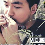 胡畔.麦子详情