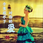 今生放不下对你的爱(单曲)详情