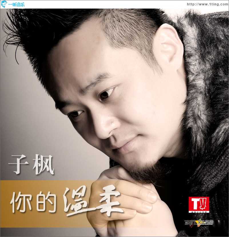 你的温柔(单曲)