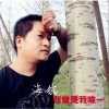 海镔 傻傻莎莎 试听