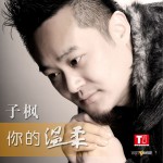 你的温柔(单曲)详情