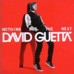 Nothing But the Beat