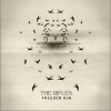 Rifles, The Nothing Matters 试听