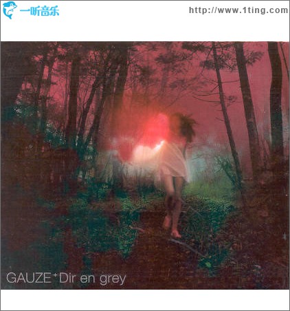 Gauze