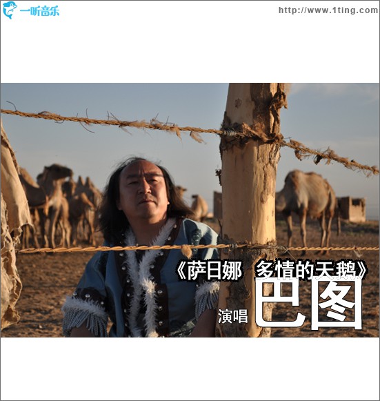 萨日娜-多情的天鹅(单曲)