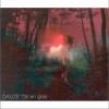 Dir en grey GAUZE -mode of adam- 试听