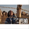 萨日娜-多情的天鹅(单曲)