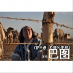 萨日娜-多情的天鹅(单曲)详情