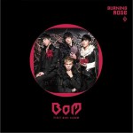 Burning Rose详情