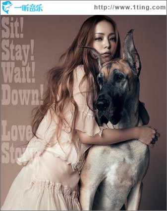 Sit!Stay!Wait!Down! / Love Story (single)