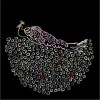 Iron & Wine Intro 试听