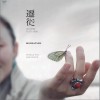 黛青塔娜 HAYA的传说 试听