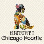HISTORY I详情