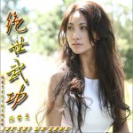 绝世武功详情