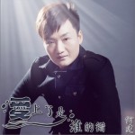 爱上了是谁的错(单曲)详情