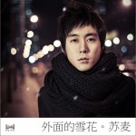 外面的雪花(单曲)详情