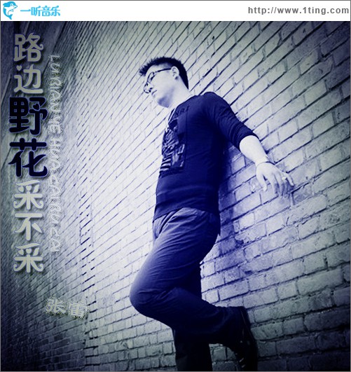 路边野花采不采(单曲)