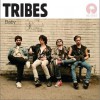 Tribes Whenever 试听